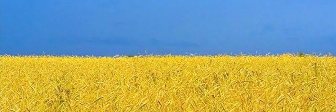 cboullo's profile banner image