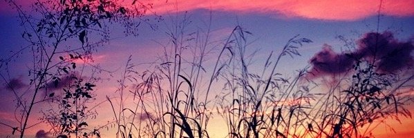 savannah9792's profile banner image
