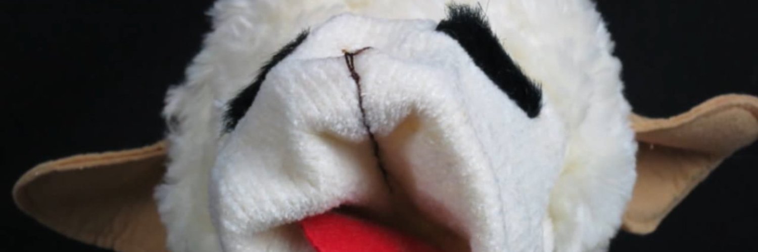 wkwayne13's profile banner image