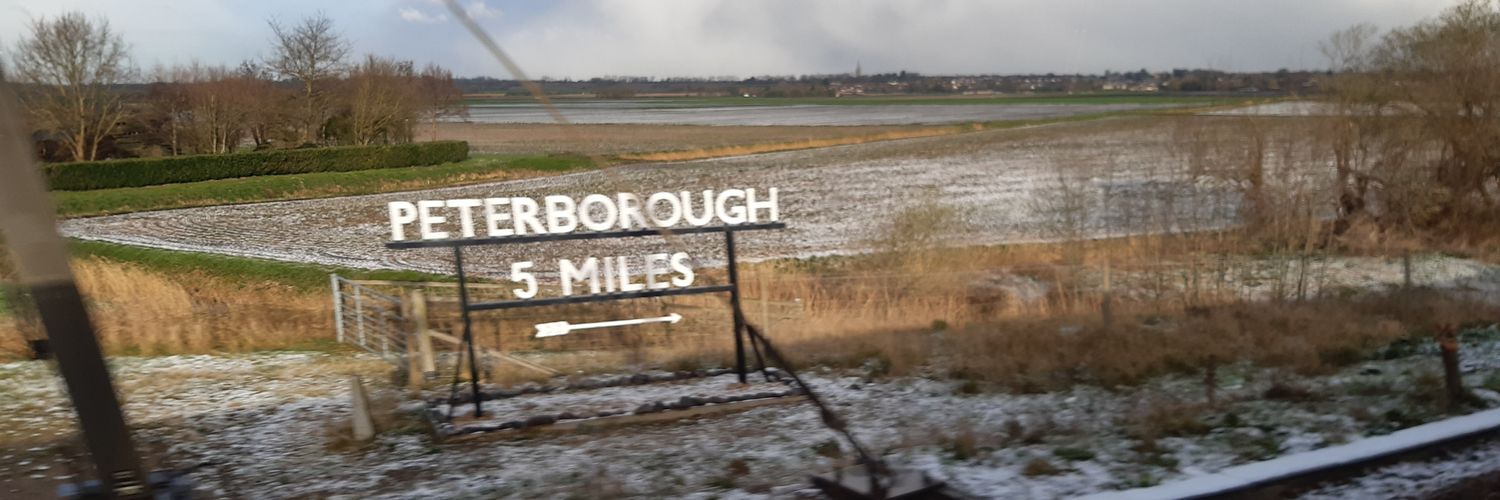 Andrew Forster banner