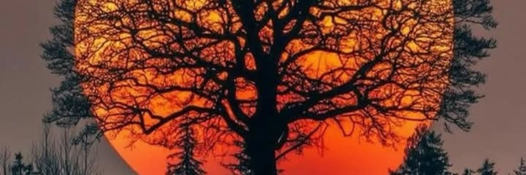 eviloic's profile banner image