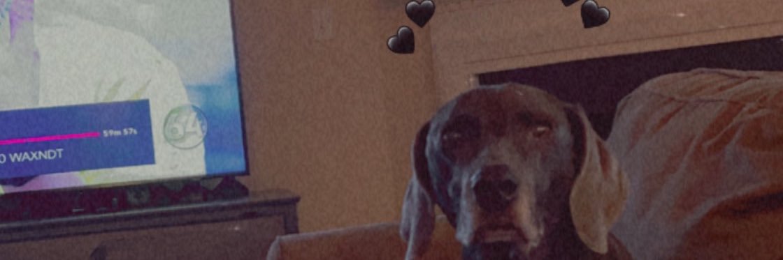 mackksmith's profile banner image