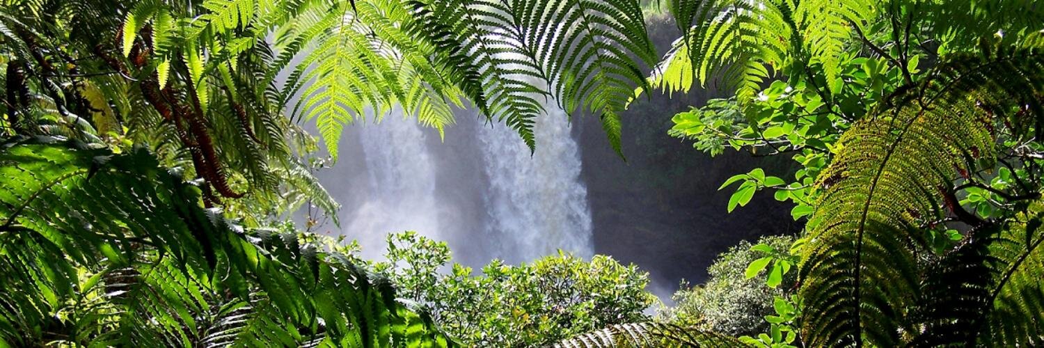 CentennialP's profile banner image