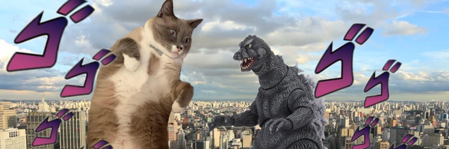 notagooseman's profile banner image