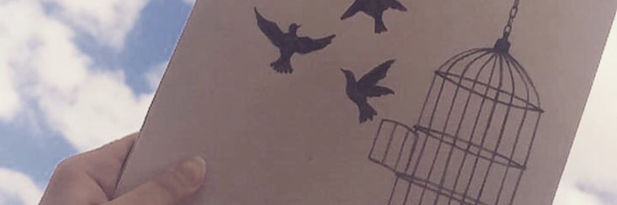 ZnoOo banner