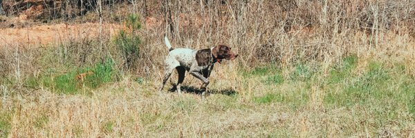 dandrews61 Profile Banner