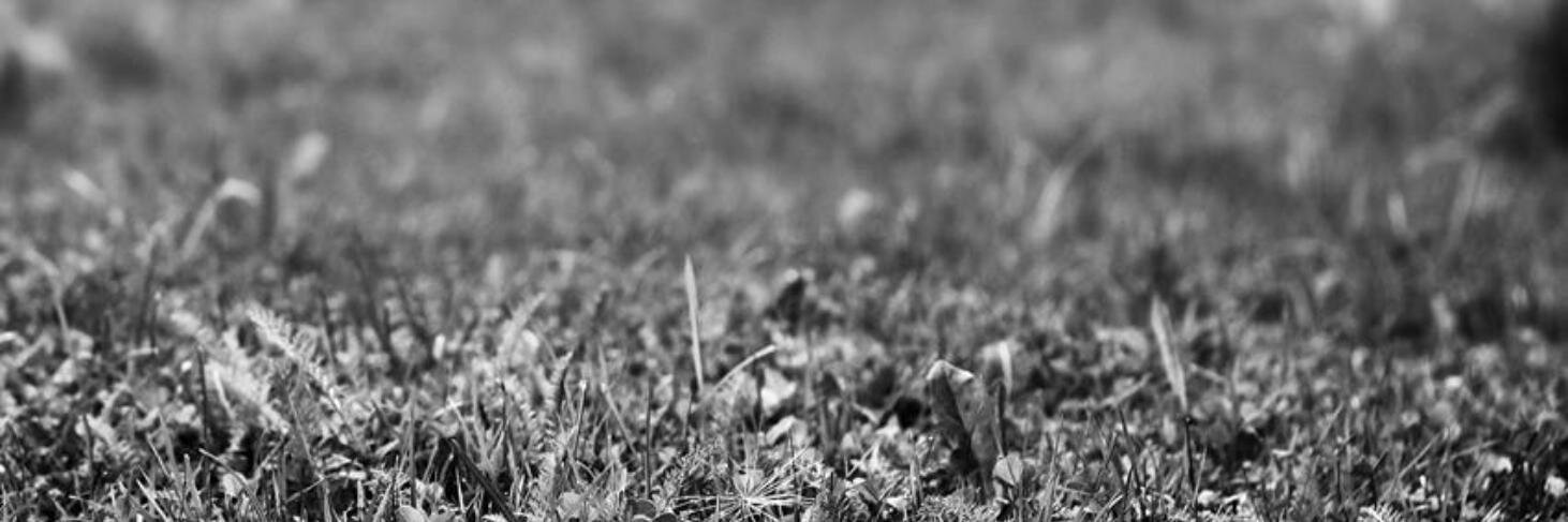 Eckart Walther banner