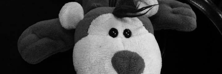 SallyShua's profile banner image