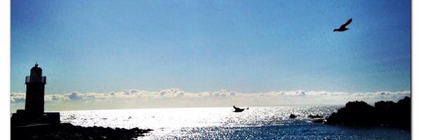 fabbofaye Profile Banner