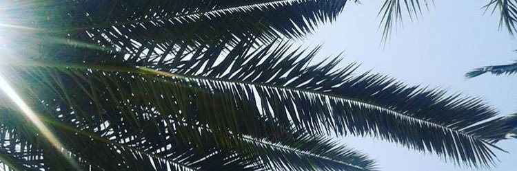 melissajn4's profile banner image