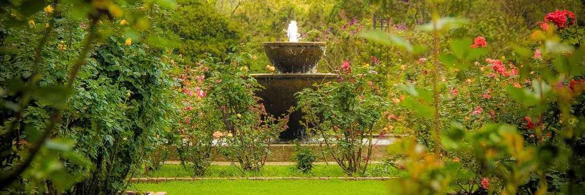 Germán G. Peña G. banner