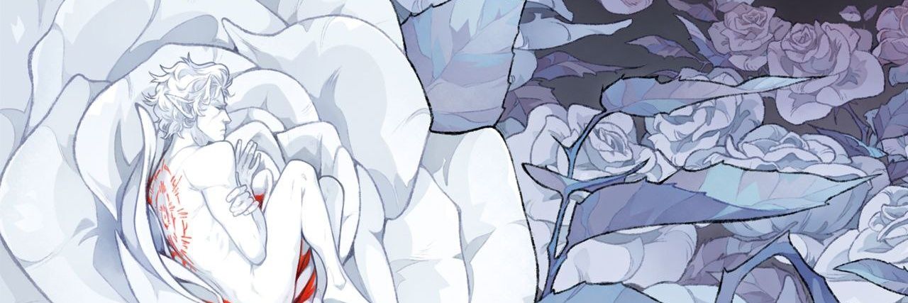 aunoska's profile banner image