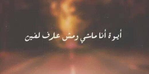 daliaMayoub's profile banner image