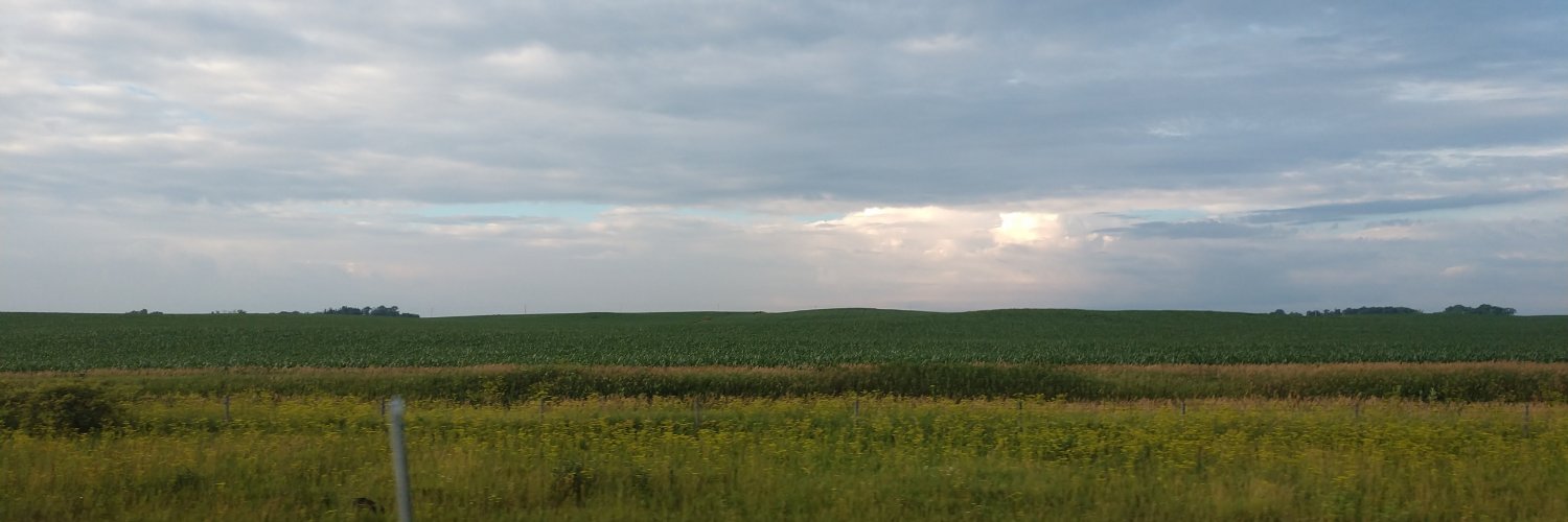 JonesWilma's profile banner image