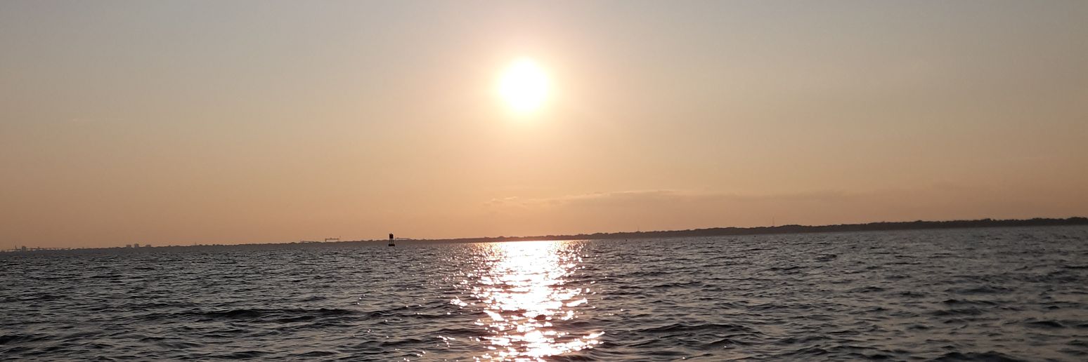 🌴OBXgirl72 🇺🇸 MAGA banner