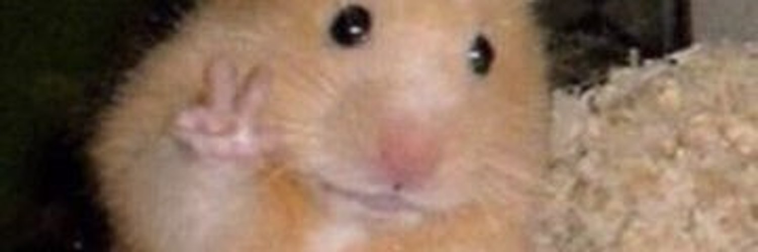 mish__tea's profile banner image
