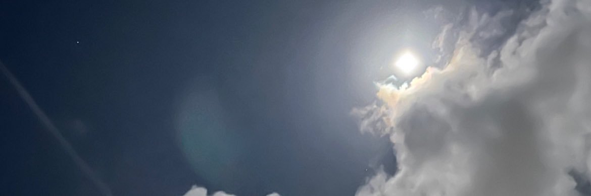 ellawindy's profile banner image