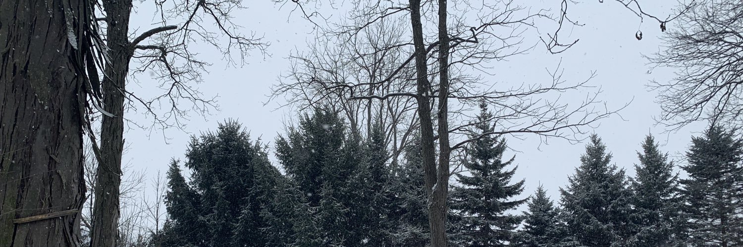 offbrand_val's profile banner image
