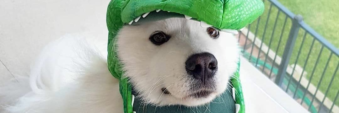 arnoldpstr's profile banner image