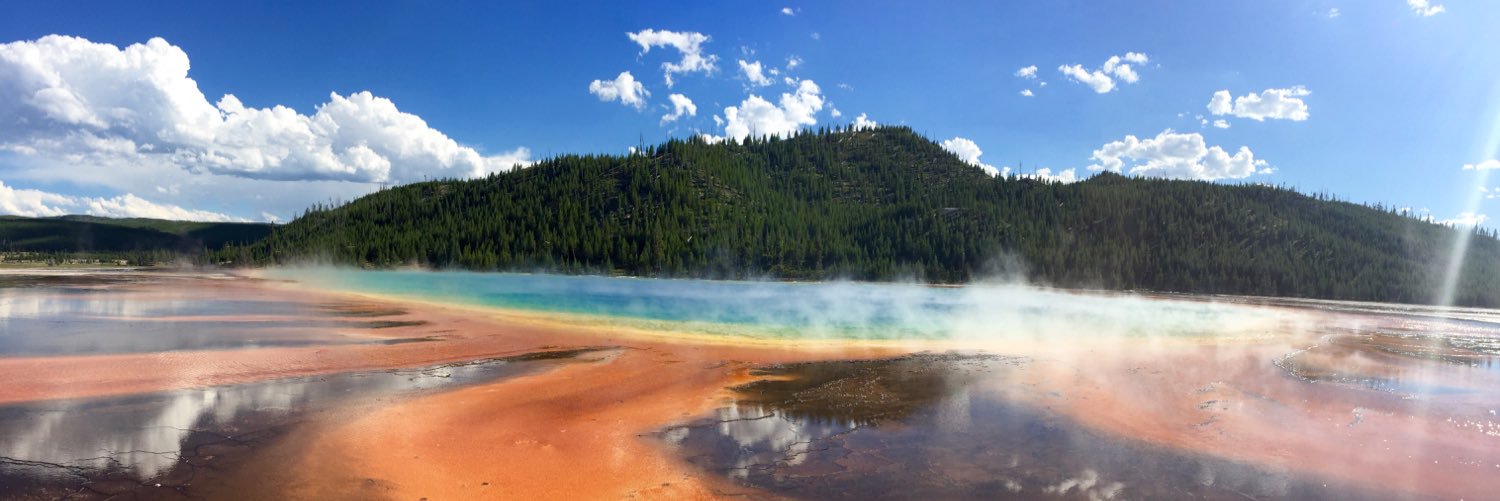 brookewertz's profile banner image