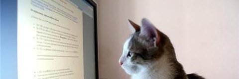 MHabiburRahman7's profile banner image