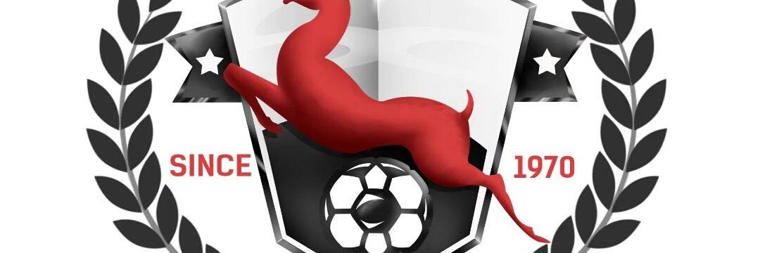 ozor_a's profile banner image