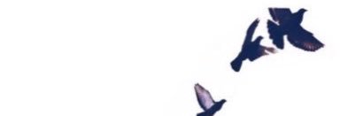 A2A2018's profile banner image