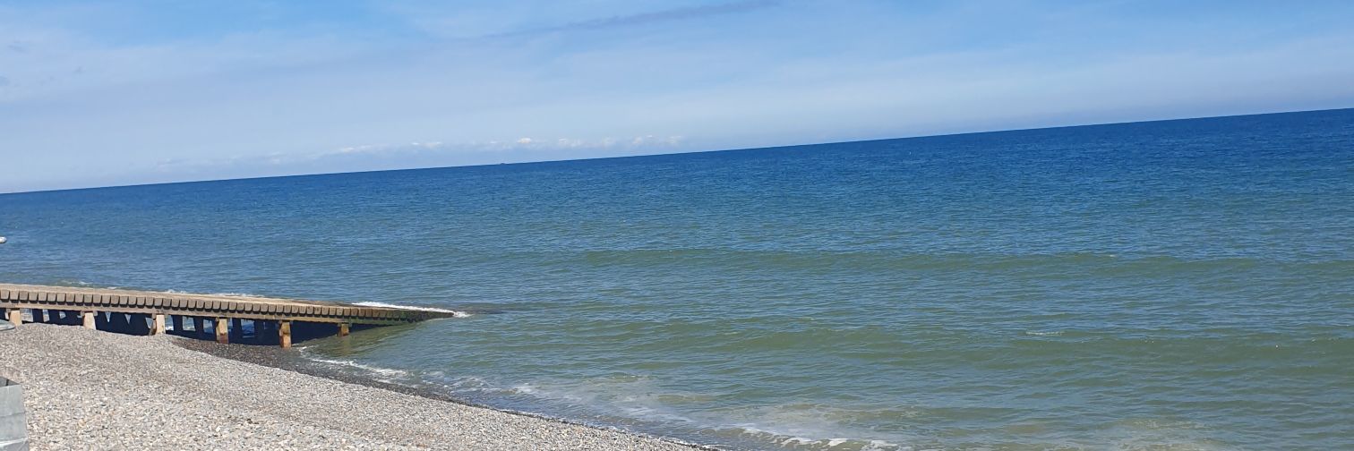 Alysia Burrows banner