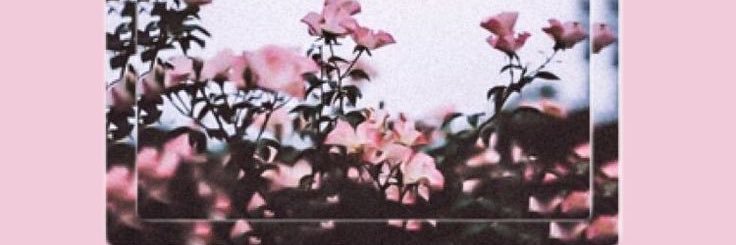Jenni_GC15's profile banner image