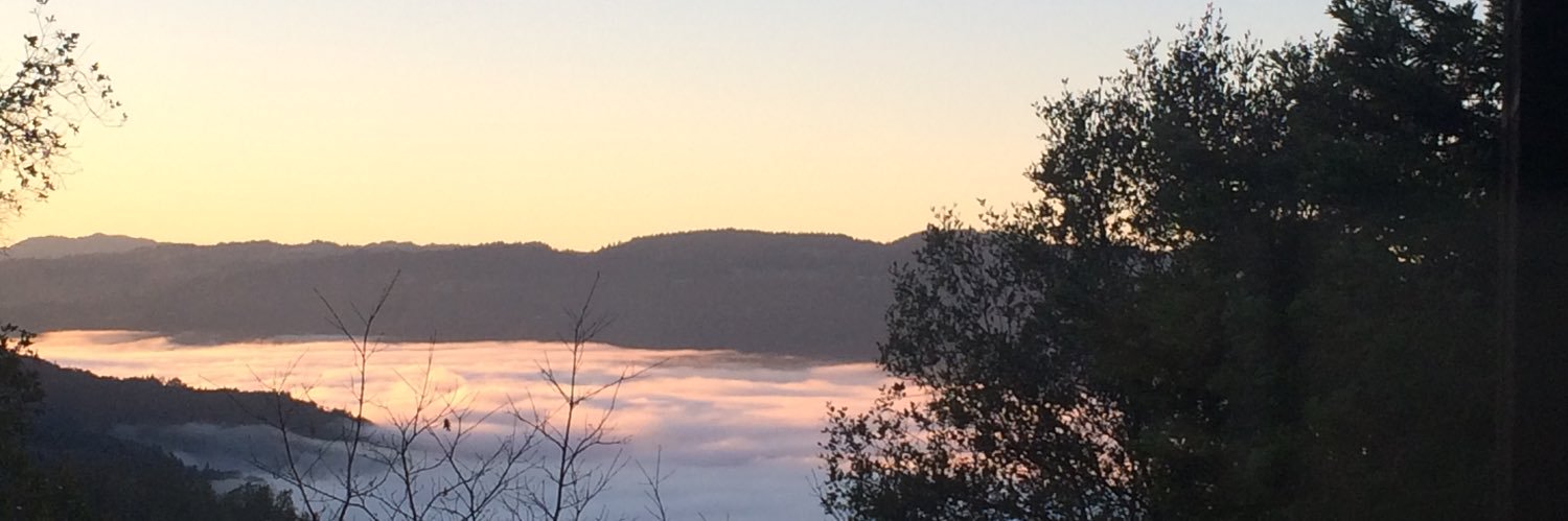 HungFut8's profile banner image