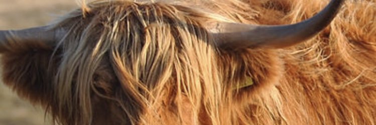 rhysdb's profile banner image
