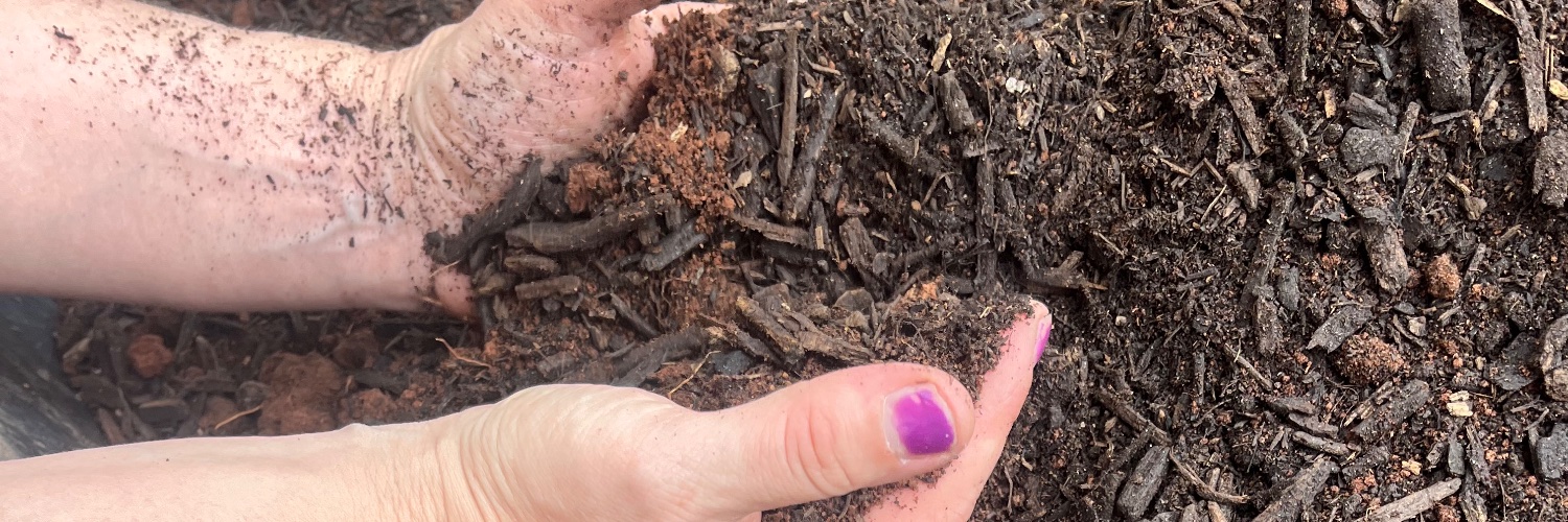 Kristen Baskin banner