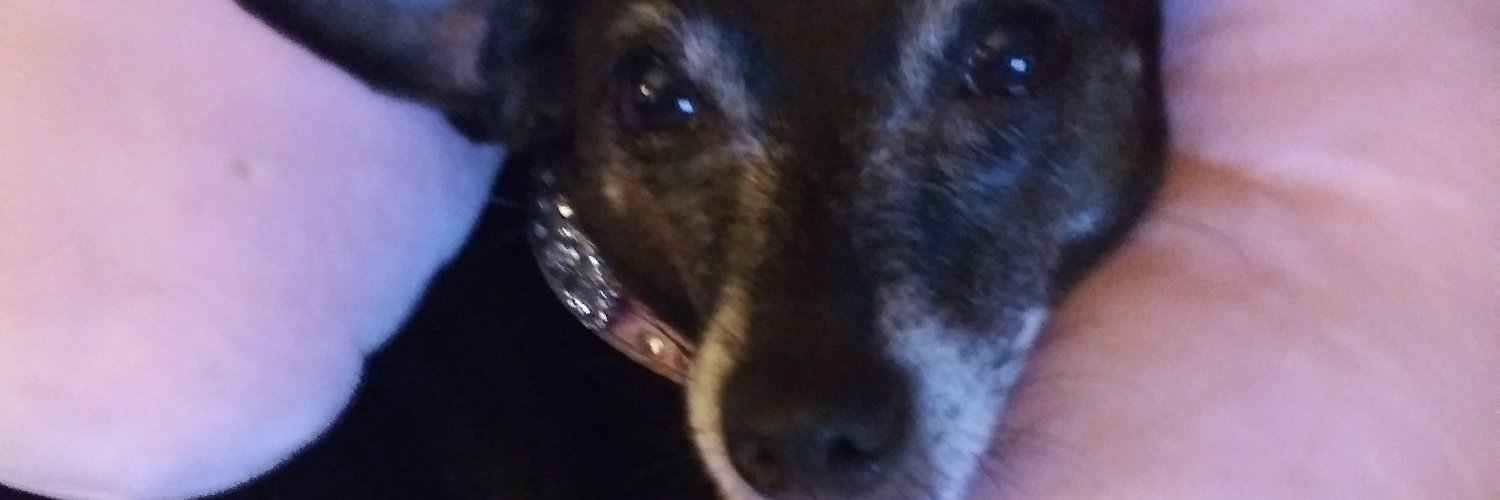 Bernus Maximus banner