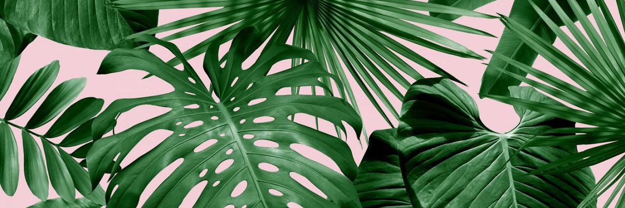 TrishyNaresh's profile banner image