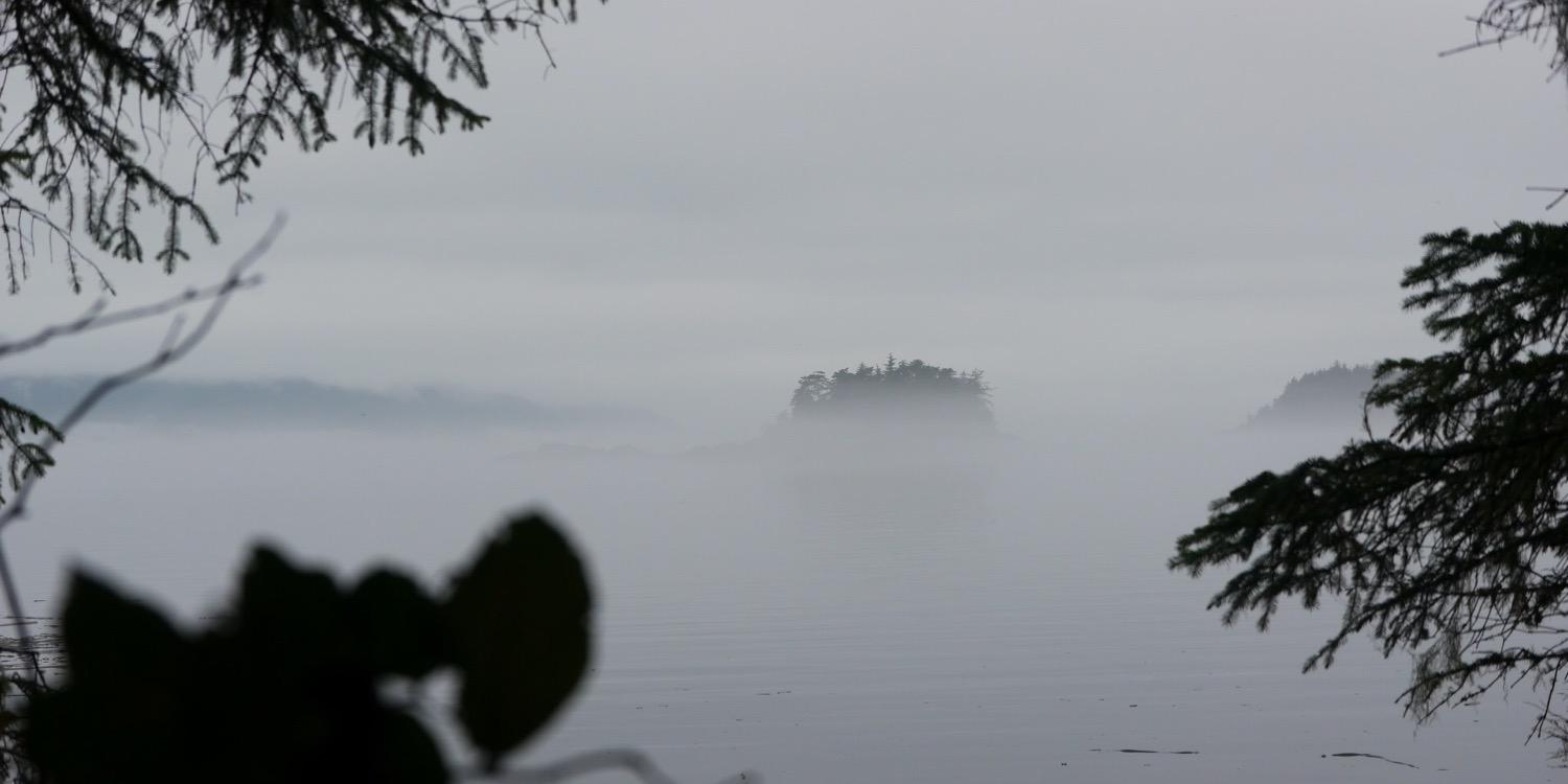 Devon Stokes-Bennett banner