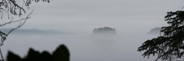 dstokesb2 Profile Banner