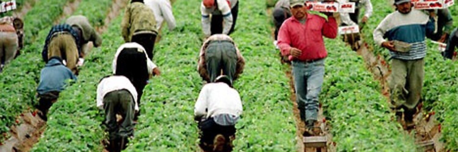beaner_bernie's profile banner image