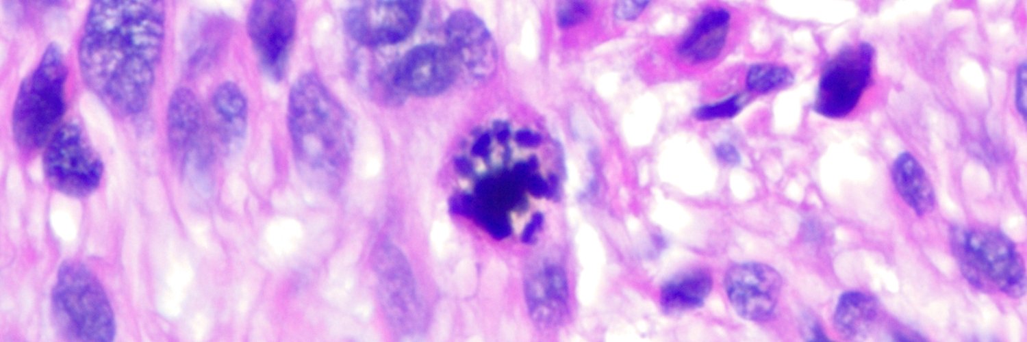 Chucktowndoc's profile banner image