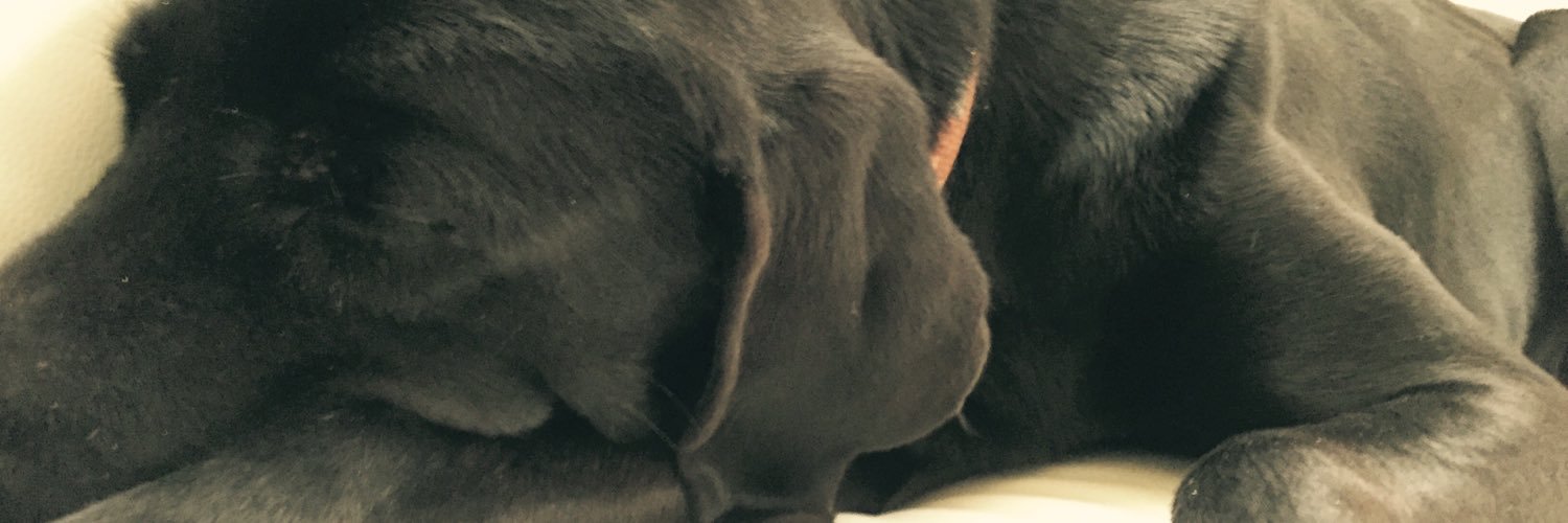 worldwimps's profile banner image