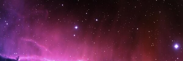 borneoardi_ Profile Banner