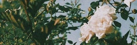 ajiebagusp's profile banner image