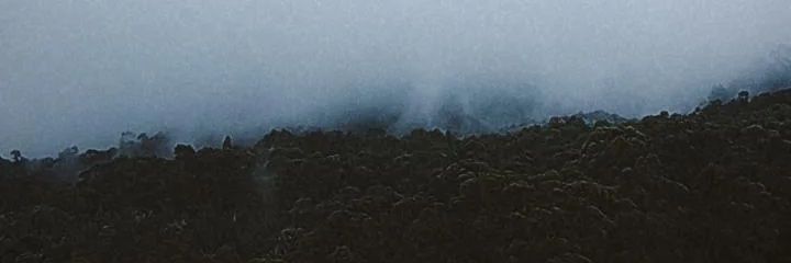 Sergio. banner