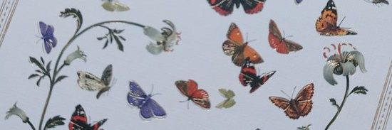 εïз｡* banner