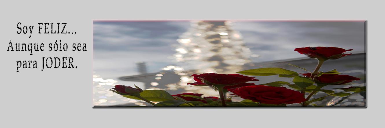 AntiguaMaria's profile banner image