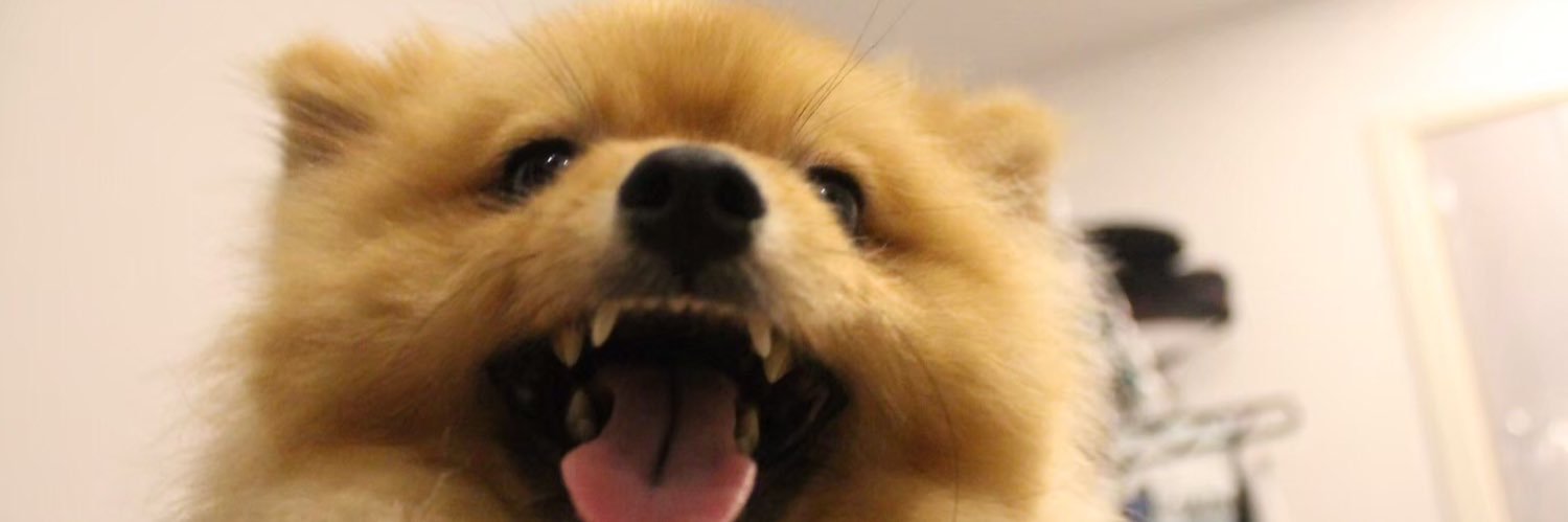ntkicee's profile banner image