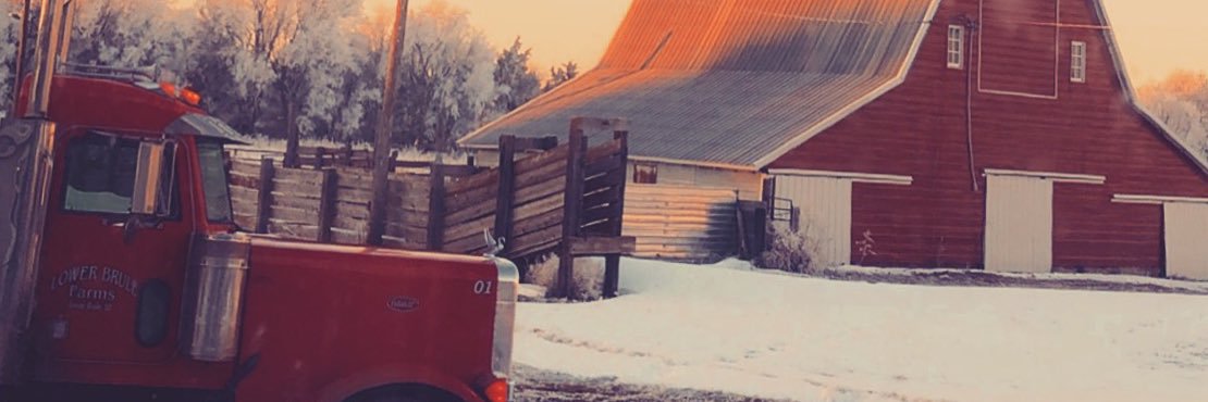 barbee_bryce's profile banner image