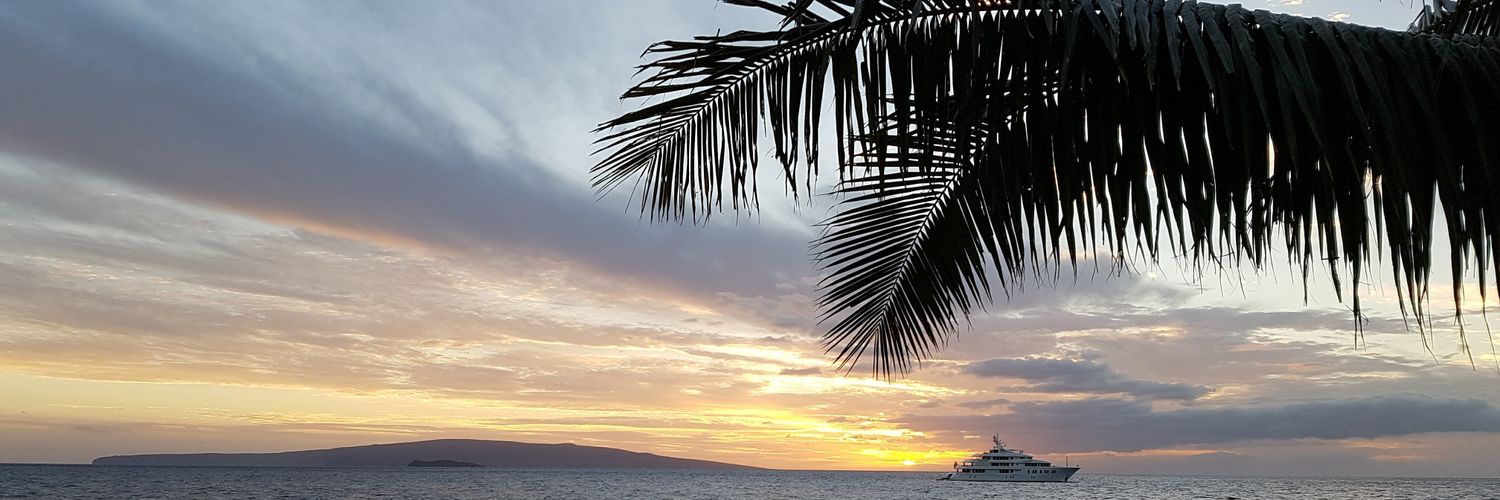 Martin__Mader's profile banner image