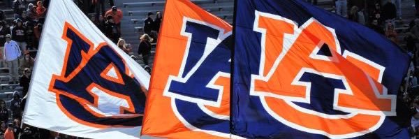 AUTigerPounce's profile banner image