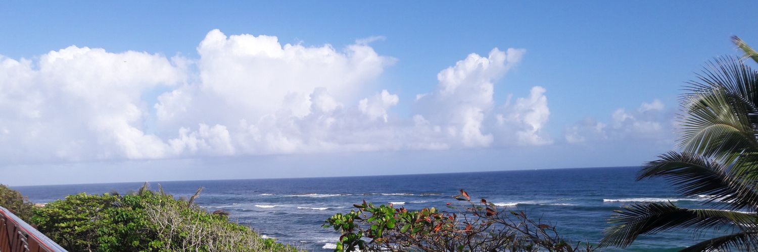 LFeliberty's profile banner image