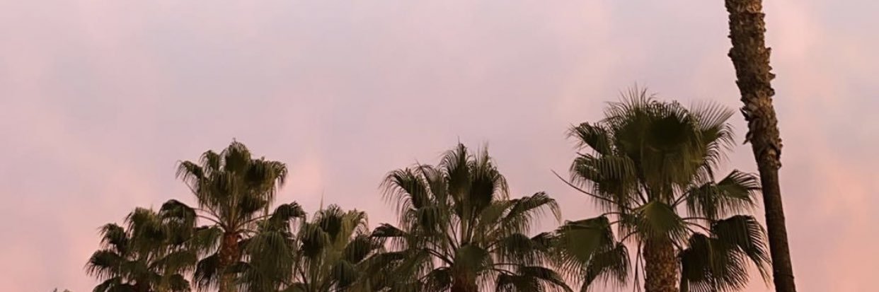 amarawinterr's profile banner image